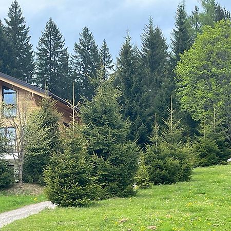 Chalet Bergheimat Wagrain Exteriör bild