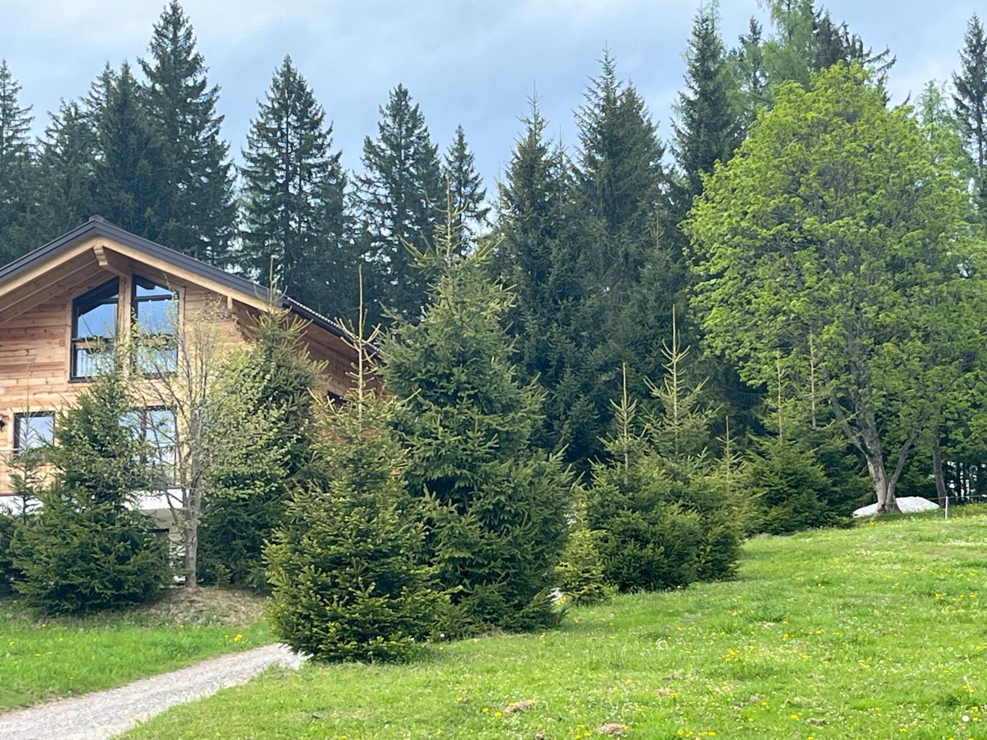 Chalet Bergheimat Wagrain Exteriör bild